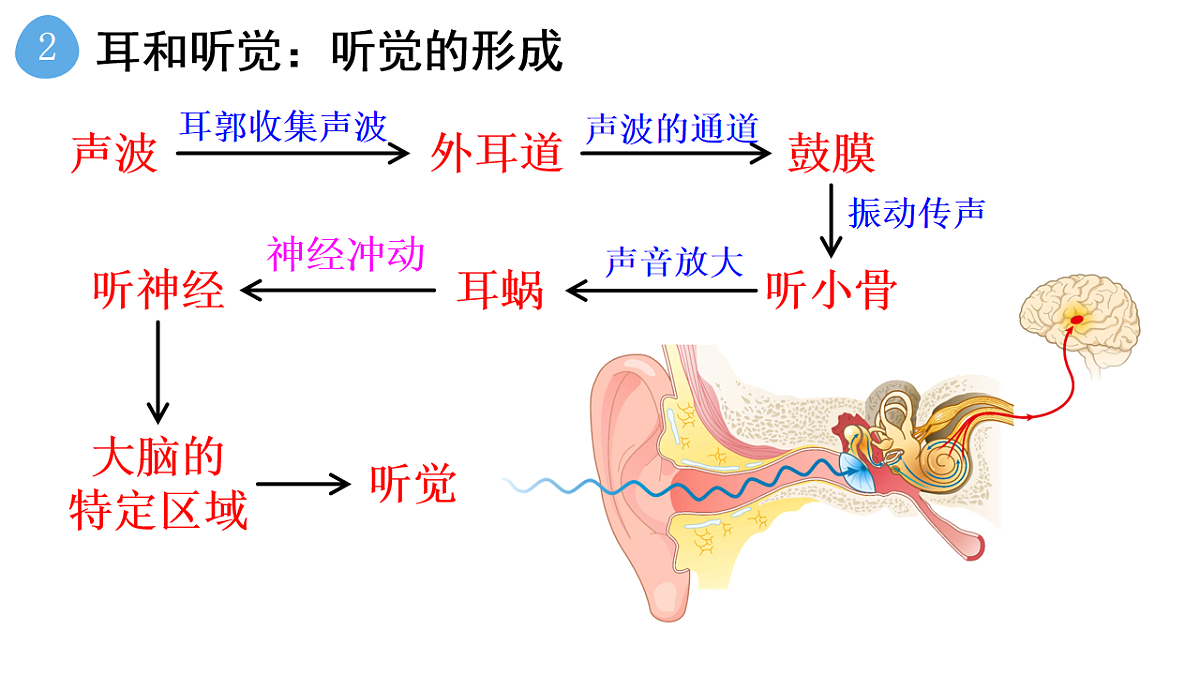 17248484第7页