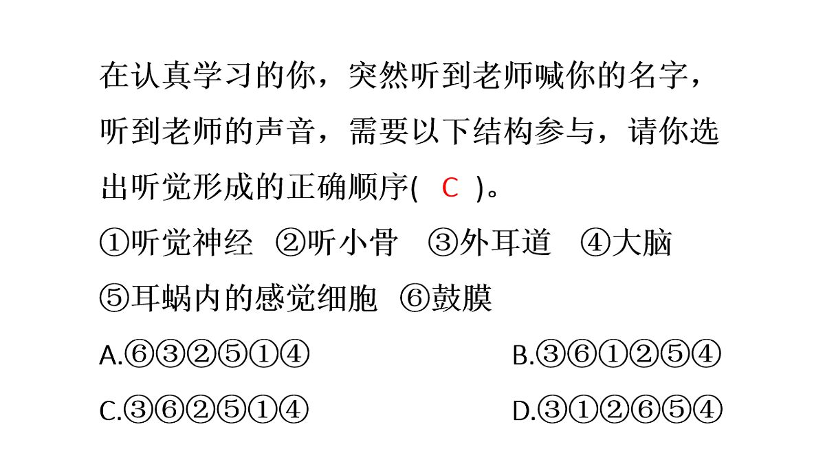 17248484第8页