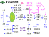 初中生物新人教版八年級上冊第五單元單元小結(jié)教學課件（2025秋）