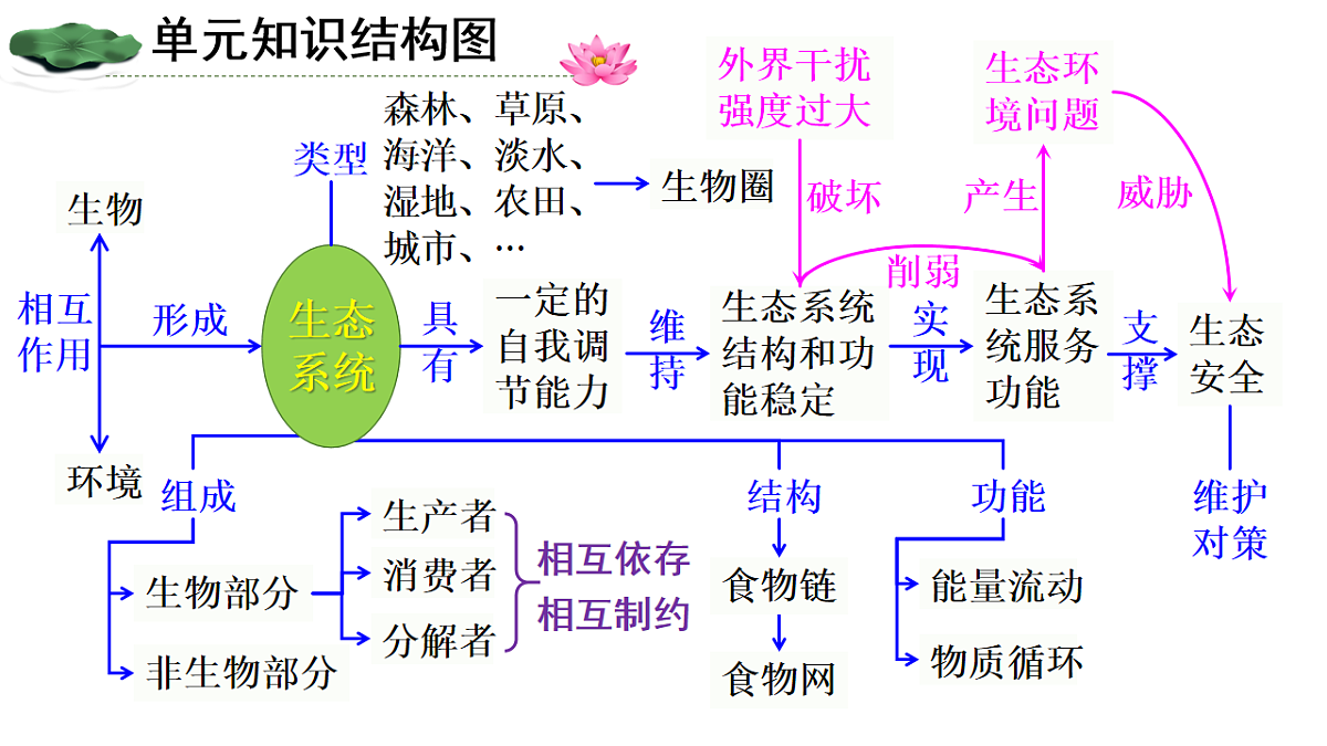 17248486第2页