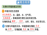 初中生物新人教版八年級上冊第五單元單元小結(jié)教學課件（2025秋）