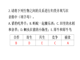 初中生物新人教版八年級上冊第五單元單元小結(jié)教學課件（2025秋）