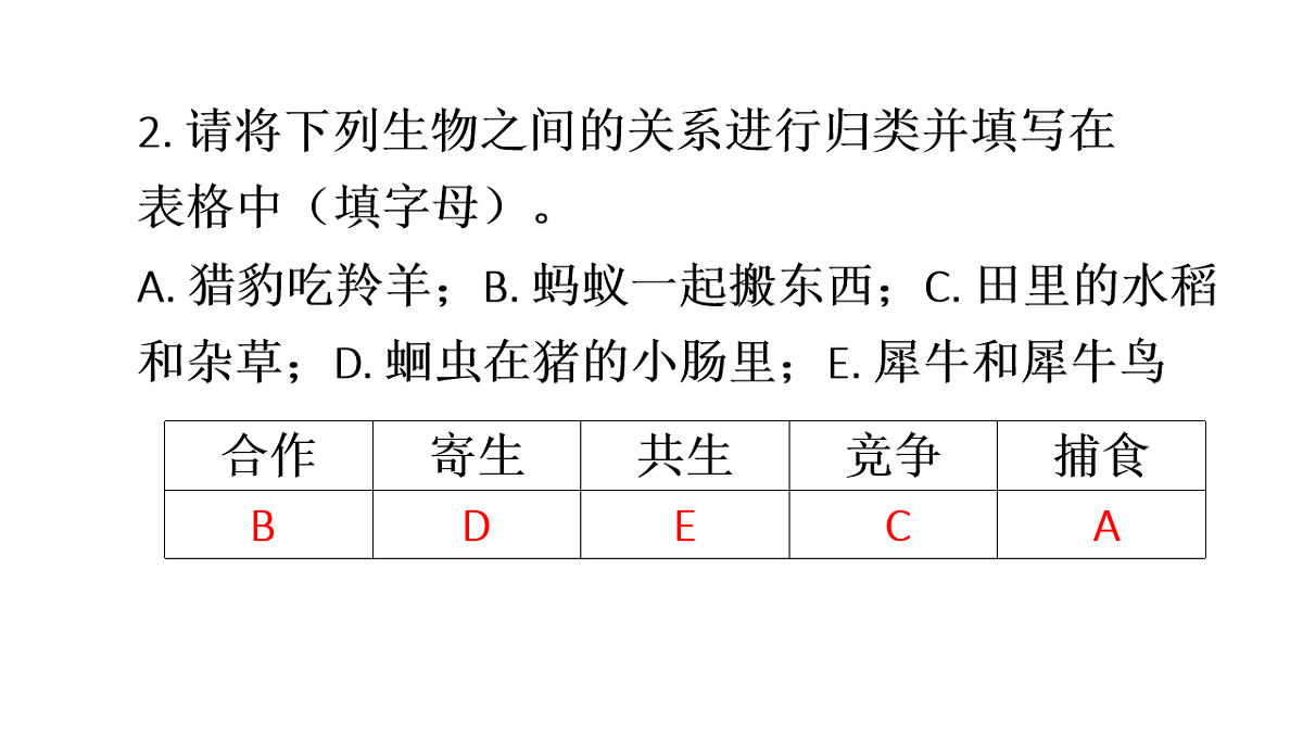 17248486第5页