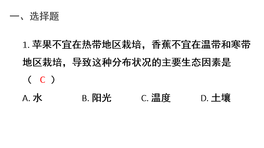 17248487第2页