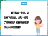 【新教材】青岛版（五四学制）（2024）二年级上册1.1《常见的植物》课件