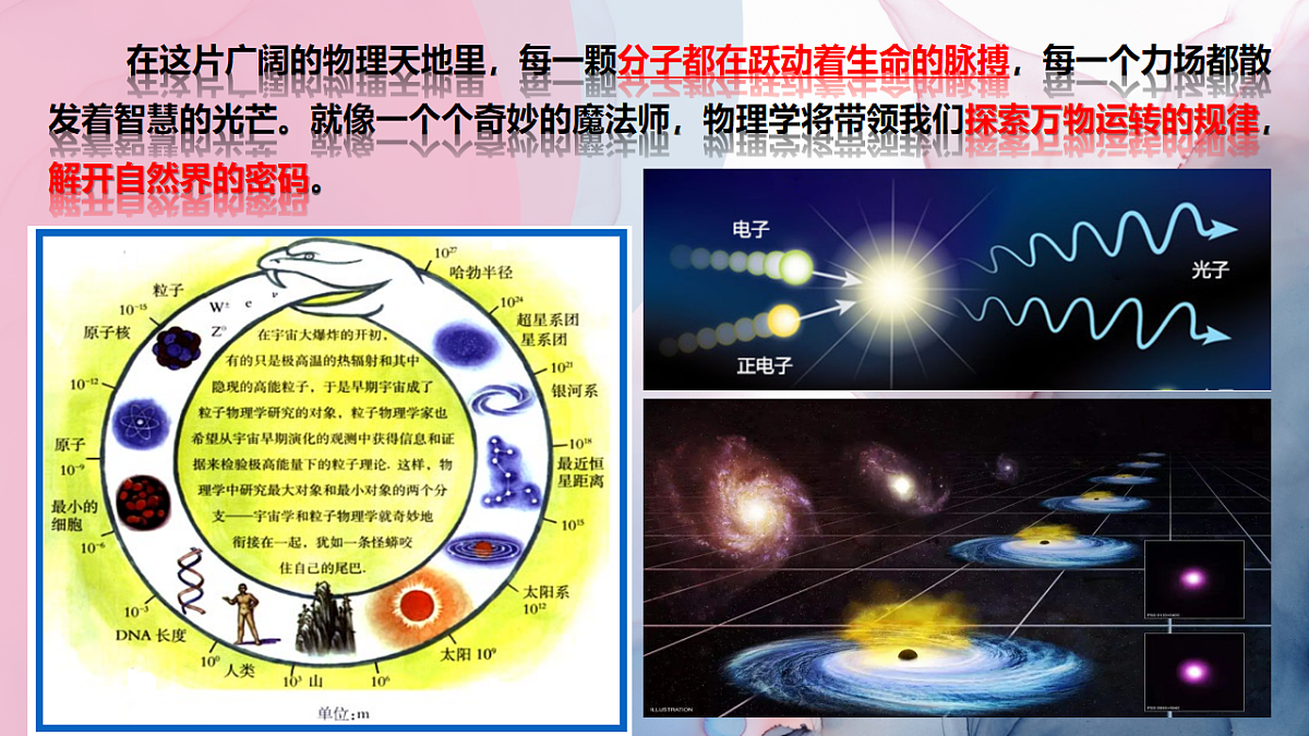 17249751第4页
