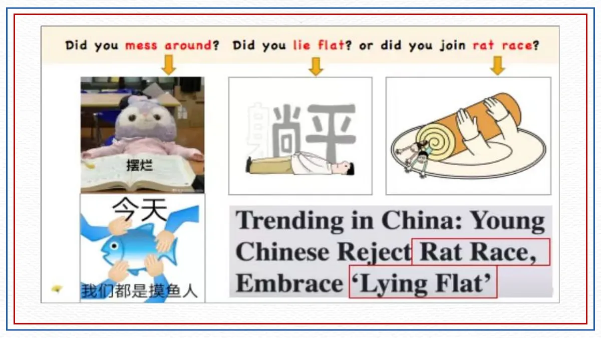17249752第6页