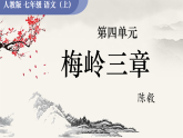 统编版（部编版）（2024）七年级语文上册15. 梅岭三章 课件