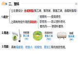 人教版2019高中化學(xué)必修二 7.2.3有機(jī)高分子材料課件