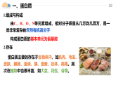 人教版2019高中化學(xué)必修二 7.4.2 蛋白質(zhì)、油脂課件