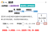 人教版2019高中化學(xué)必修二 7.4.2 蛋白質(zhì)、油脂課件