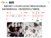 人教版2019高中化學(xué)必修二 7.4.2 蛋白質(zhì)、油脂課件