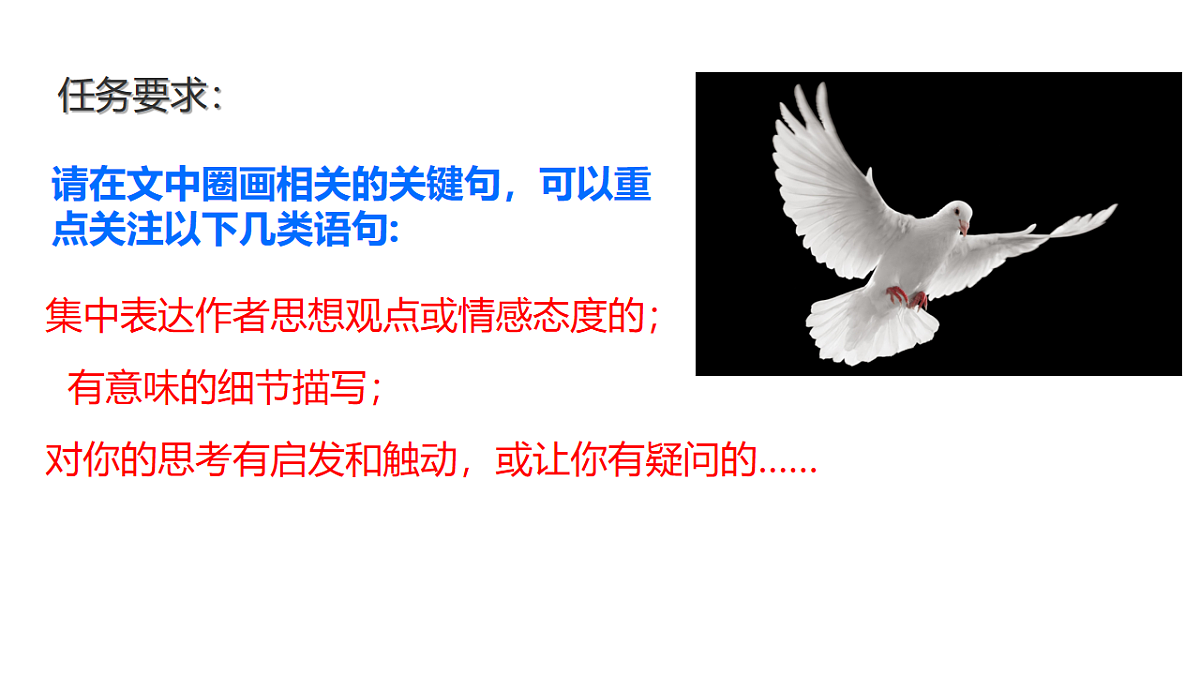 17250202第3页