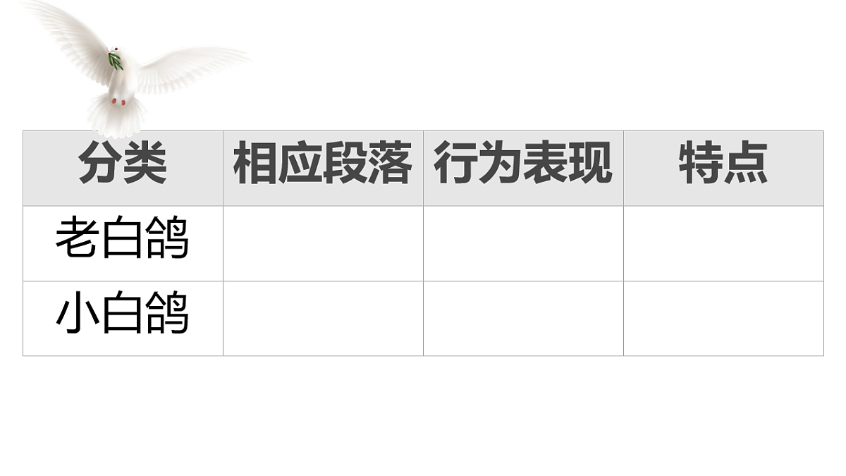 17250202第5页