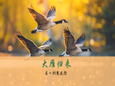 初中  语文  人教部编版（2024）  七年级上册（2024）  第五单元  任务一 体会人物与动物的关系19 大雁归来 课件