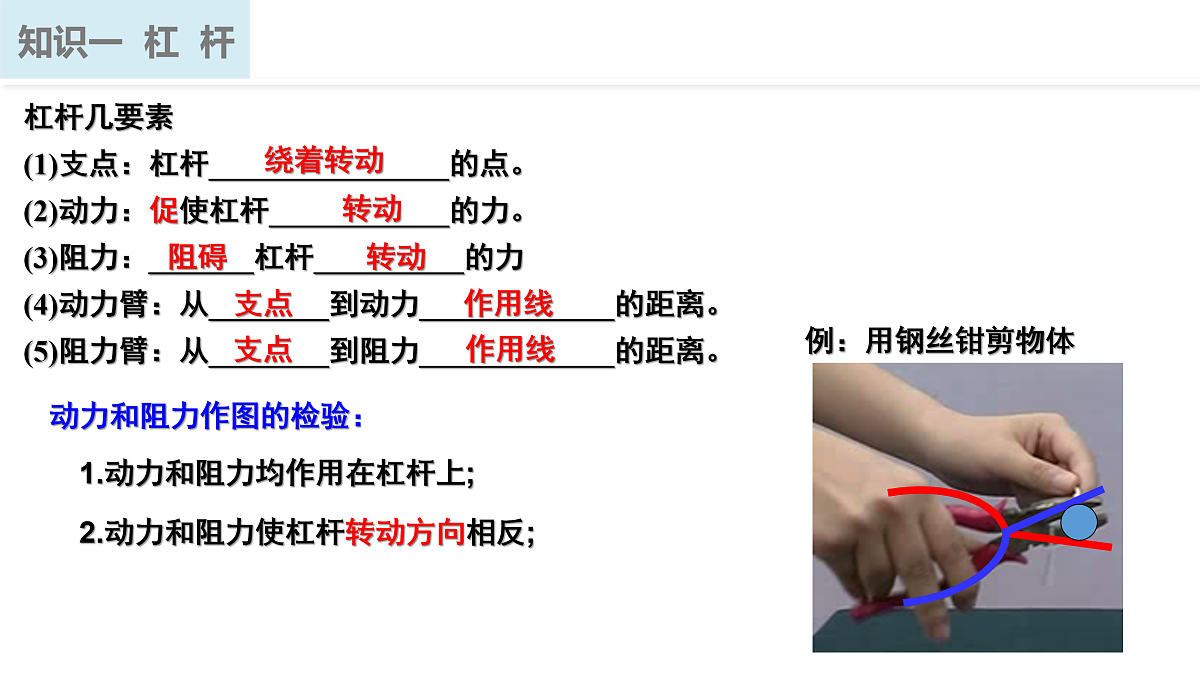 17250399第5页