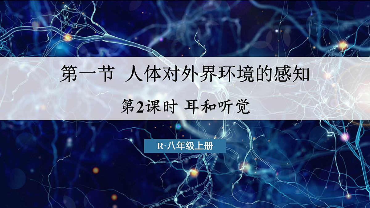 17250561第1页
