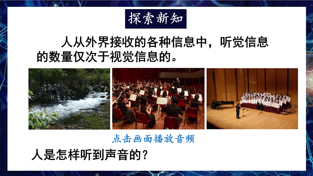 17250561第4页