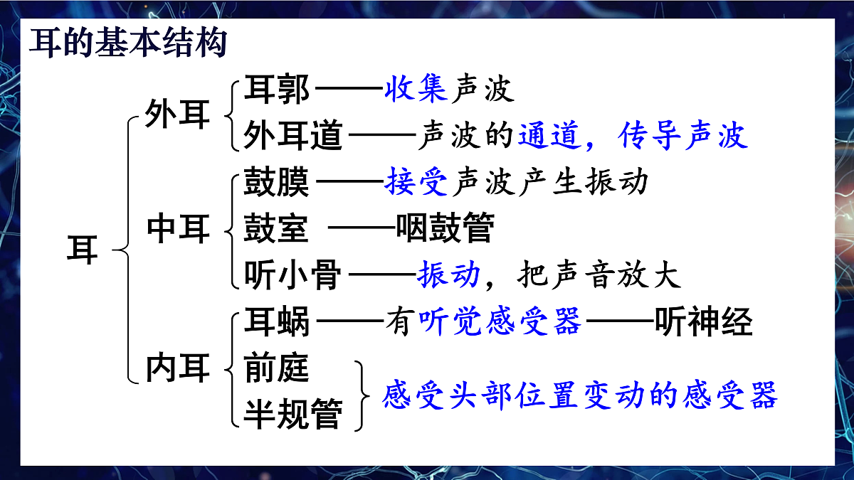 17250561第6页