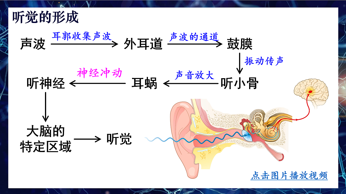17250561第8页