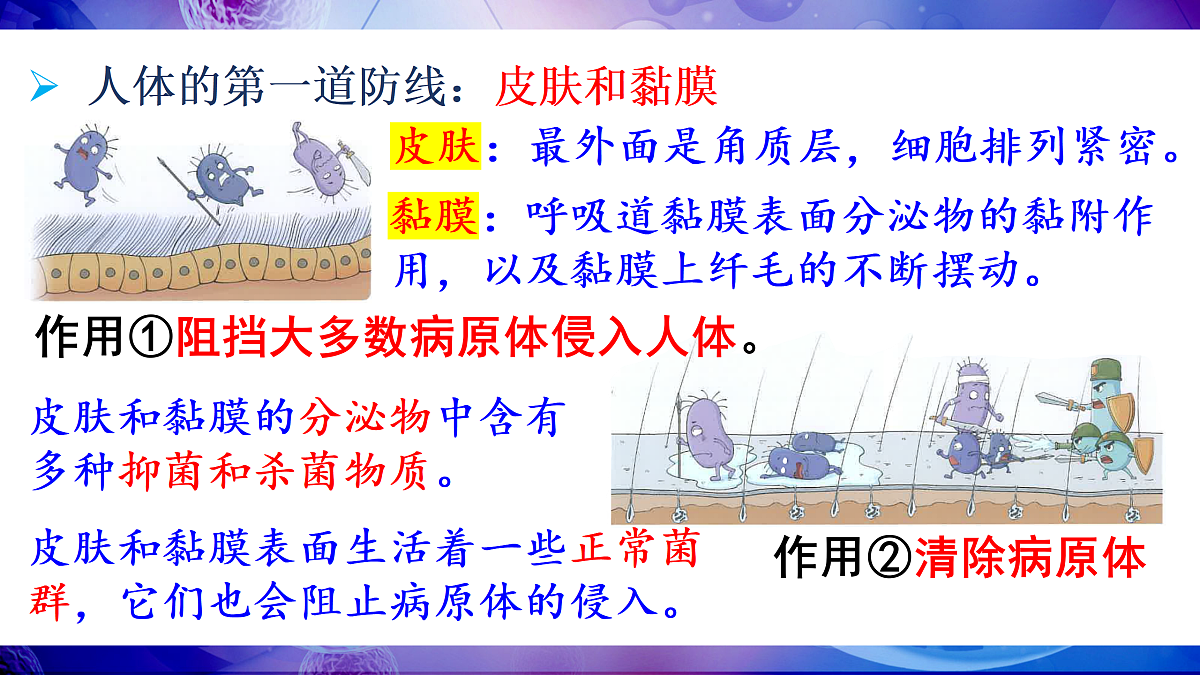 17250562第7页