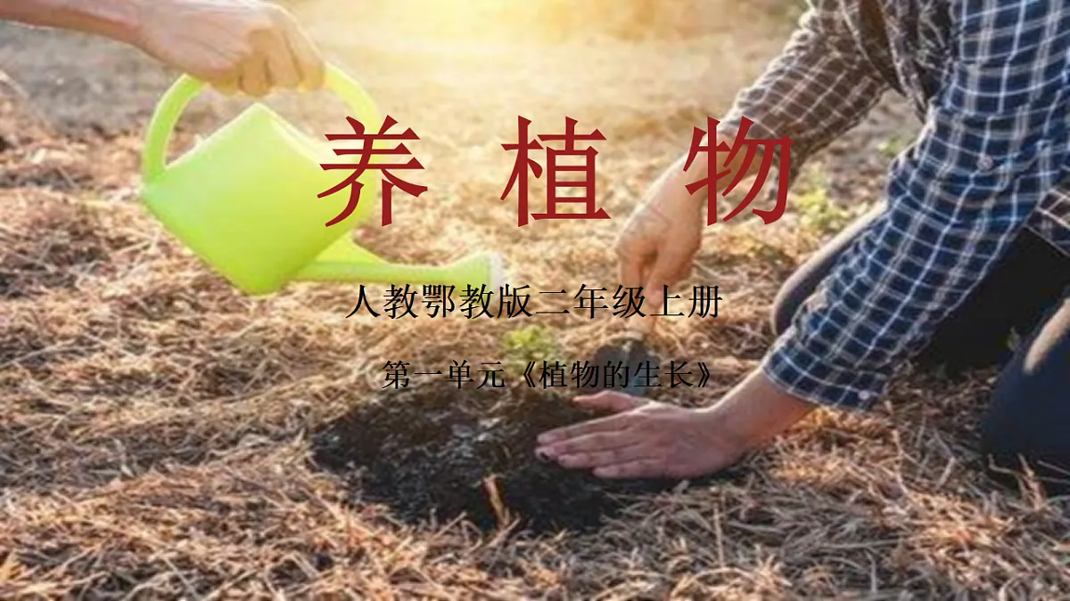 17250564第1页