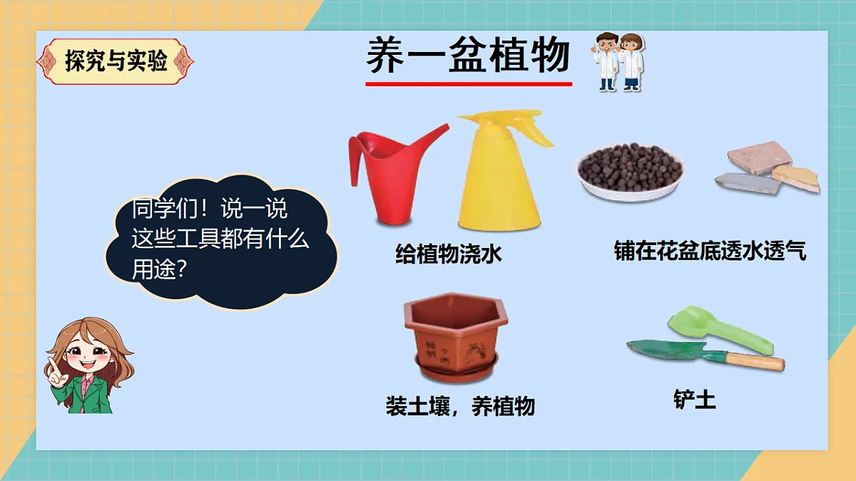 17250564第4页