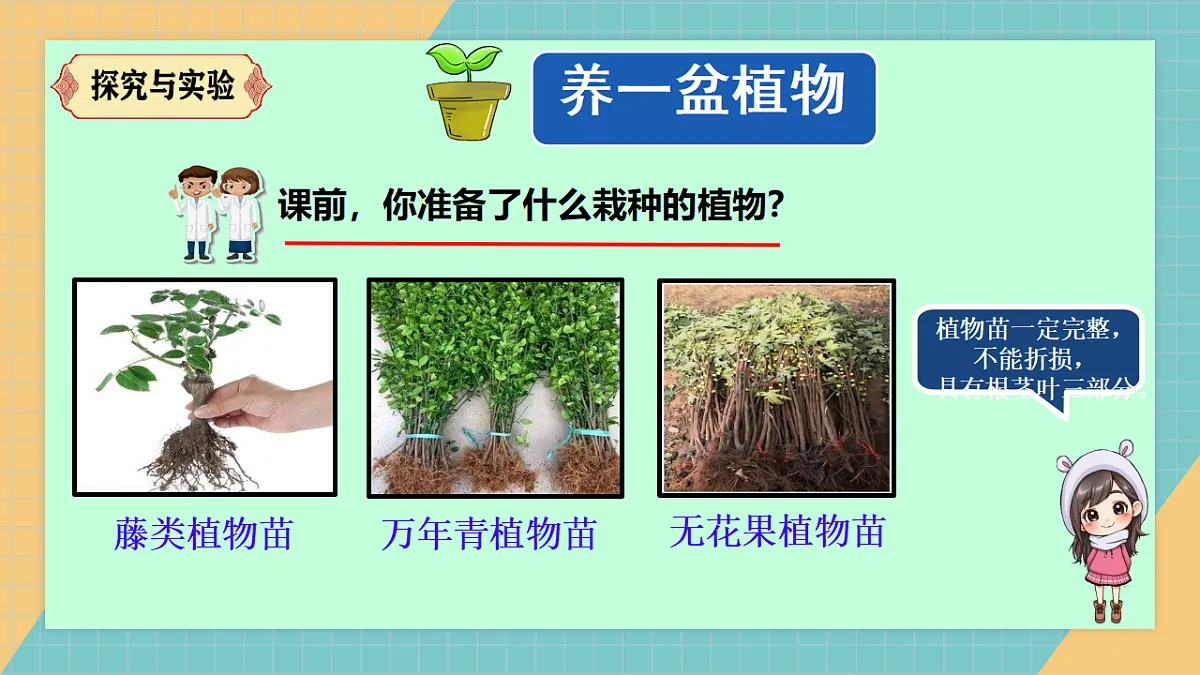 17250564第5页