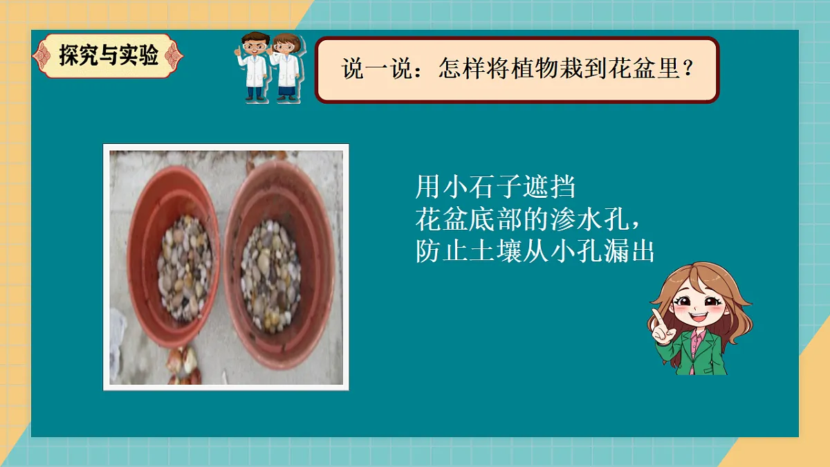 17250564第6页