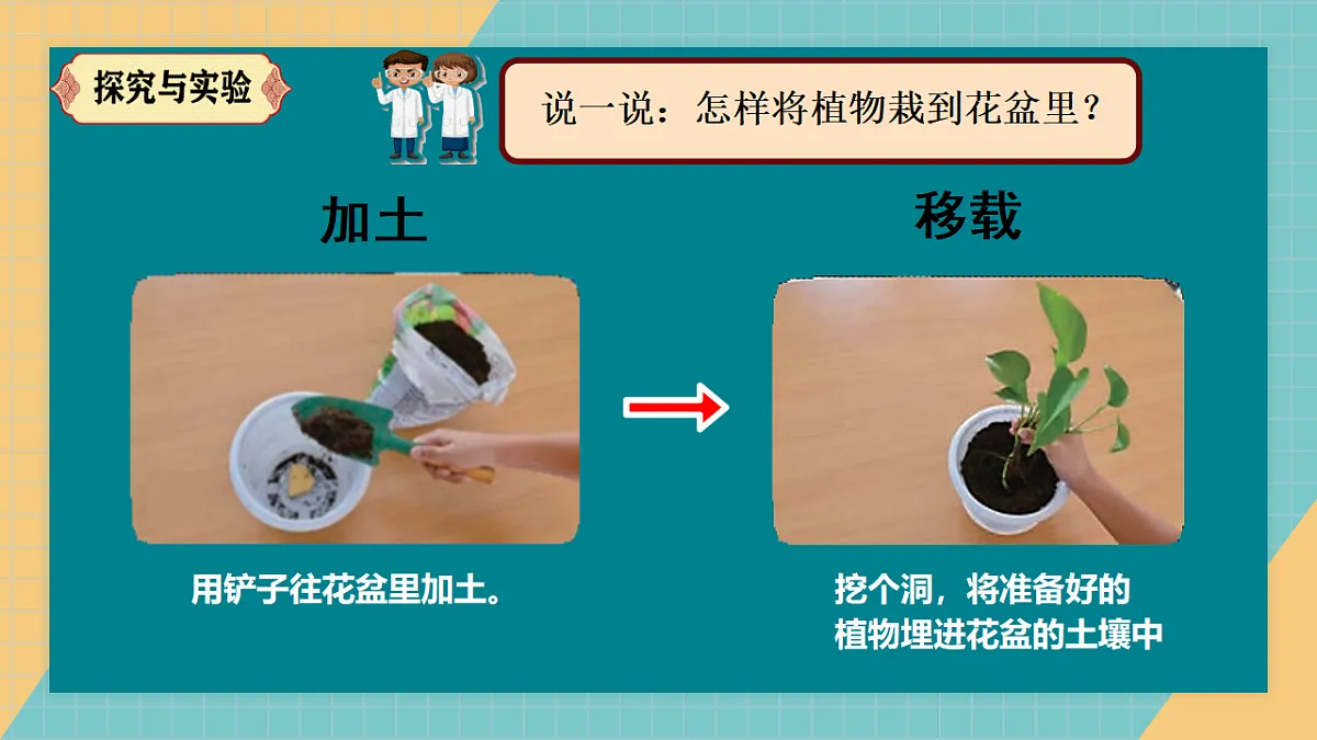 17250564第7页