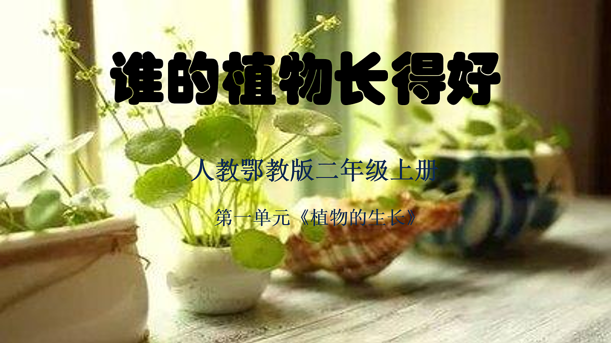 17250565第1页