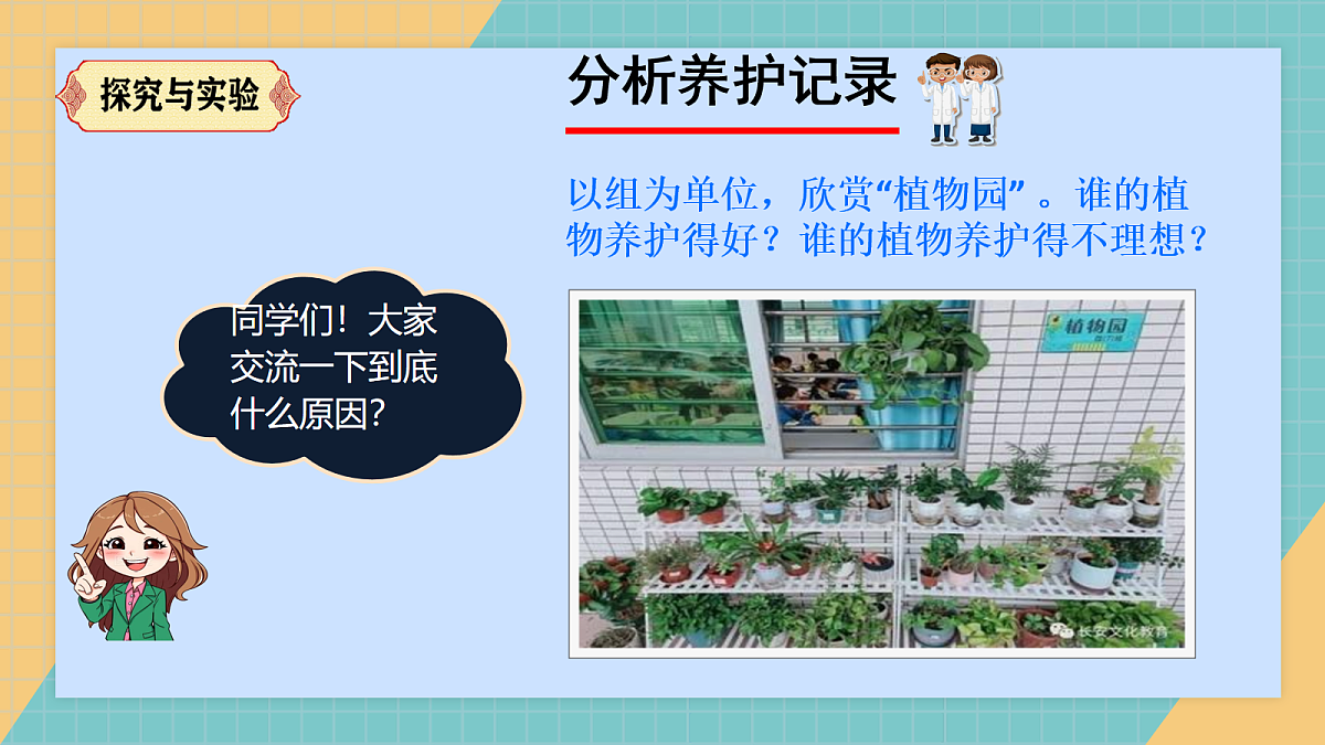 17250565第4页