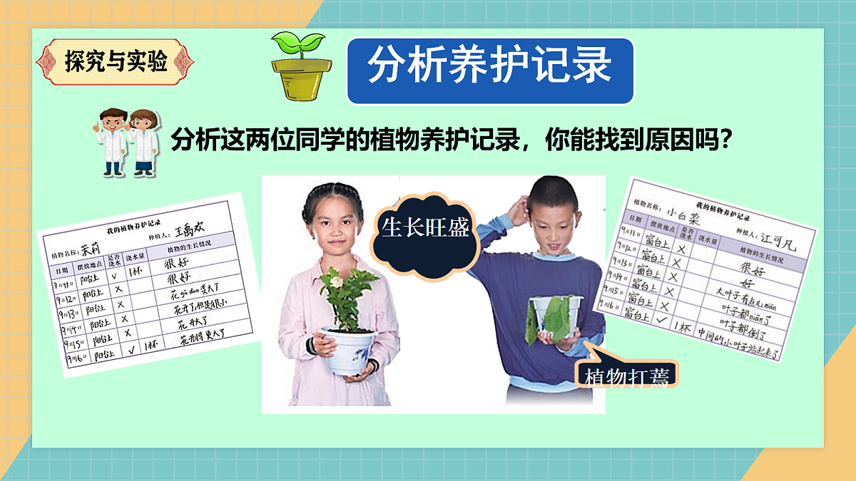 17250565第5页