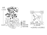 初中地理新人教版八年级上册第四、五章综合训练作业课件（含答案）（2025秋）