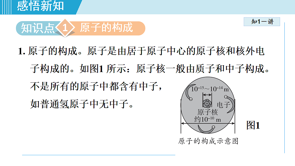 17251455第5页
