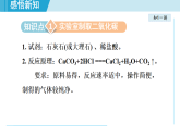 人教版九年級化學  6.3 二氧化碳的實驗室制?。▽W習、上課課件）