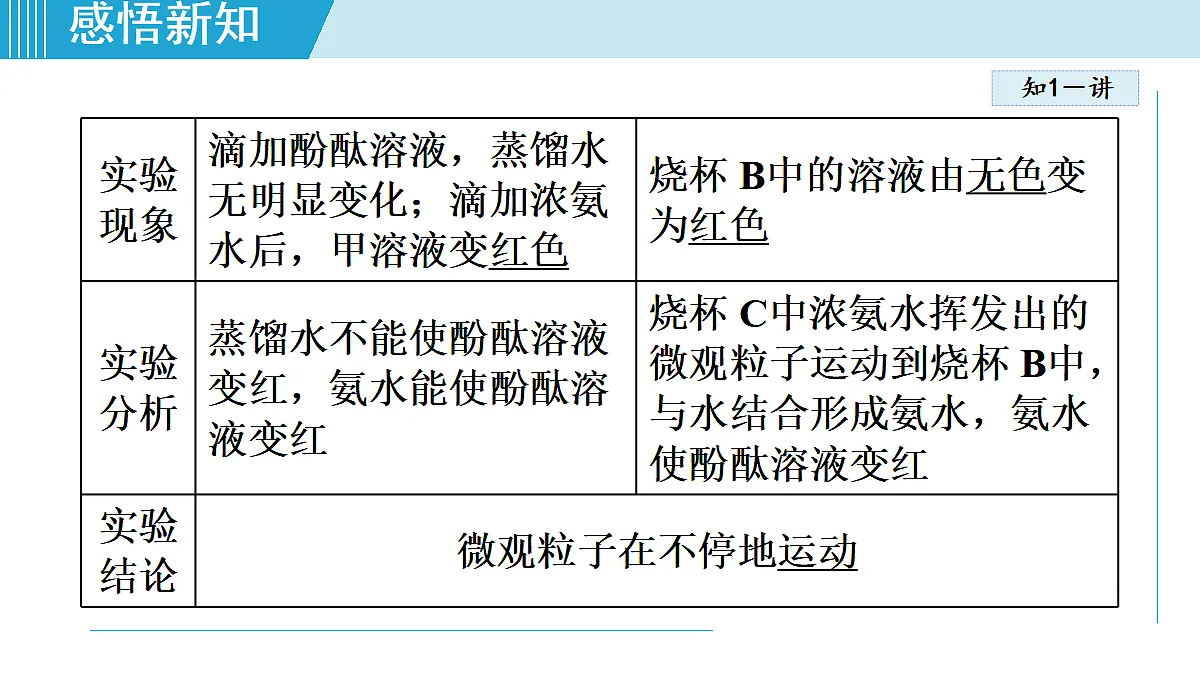 17251466第5页