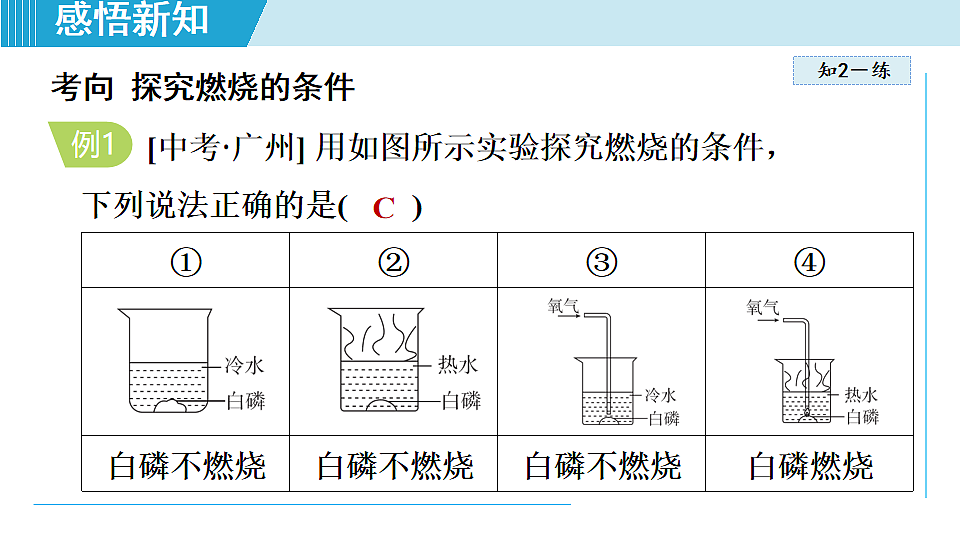 17251473第8页