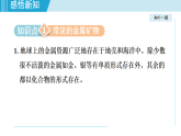 滬教版九年級(jí)化學(xué)  6.1 金屬礦物及鐵的冶煉（學(xué)習(xí)、上課課件）