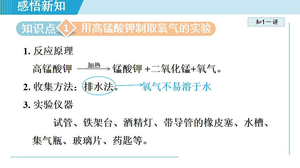 17251478第3页