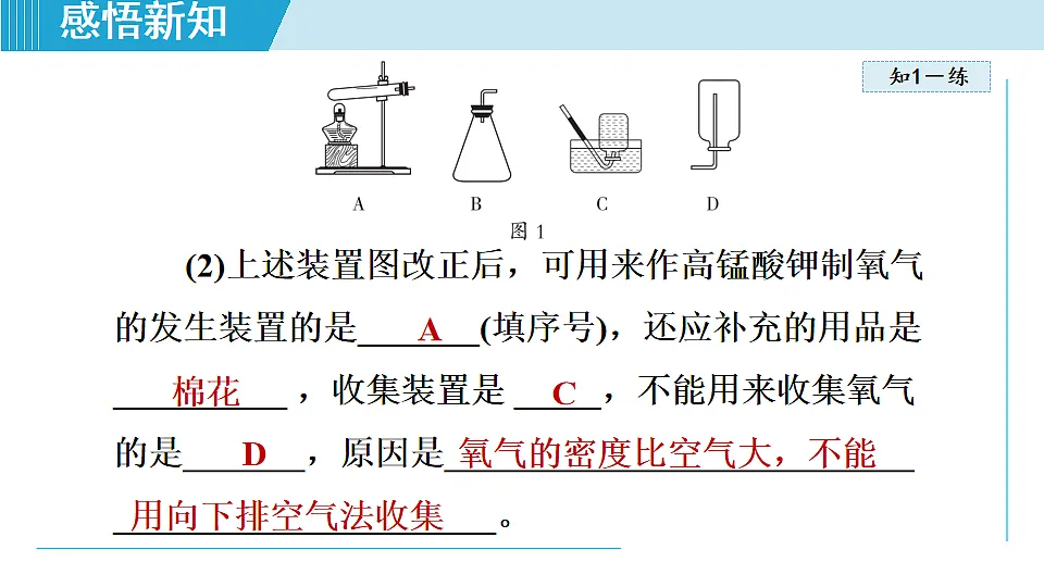 17251478第8页