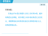 滬教版九年級化學  基礎(chǔ)實驗3 燃燒條件的探究（學習、上課課件）