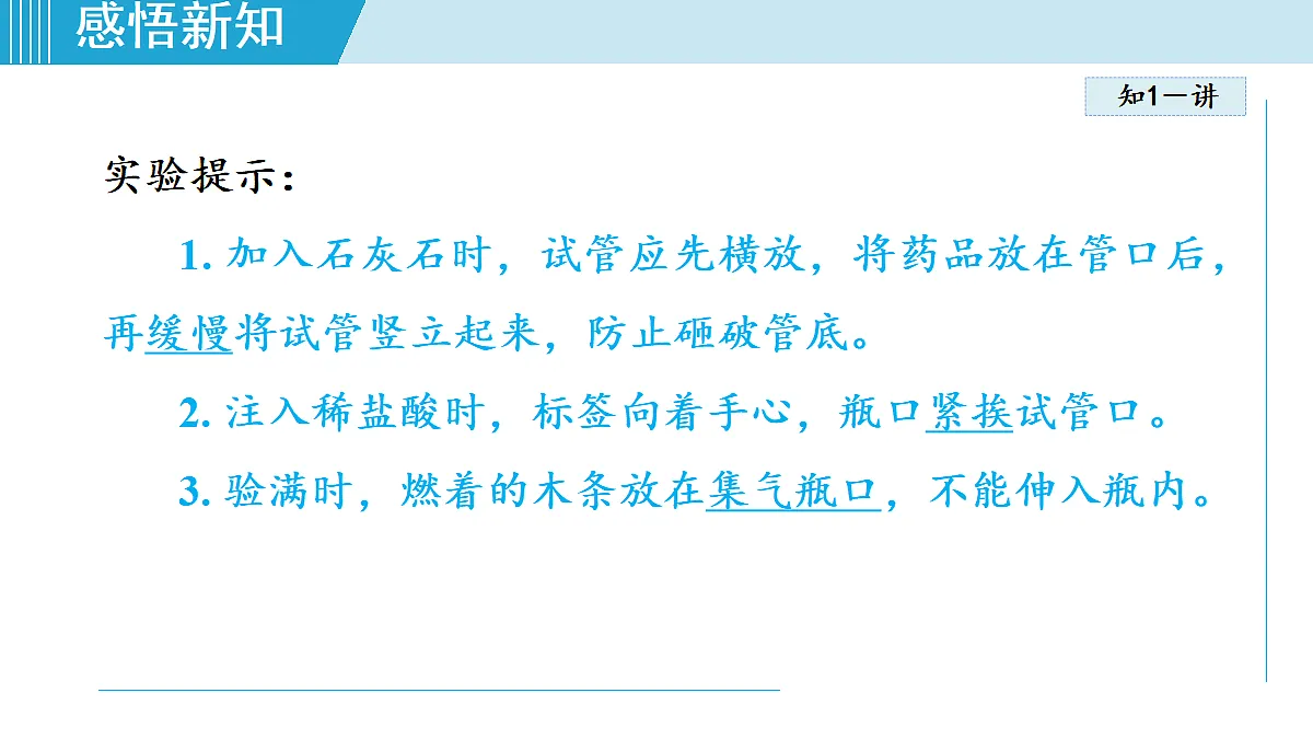 17251481第5页