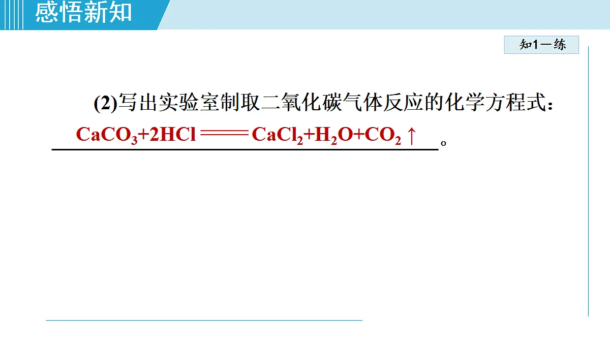 17251481第7页