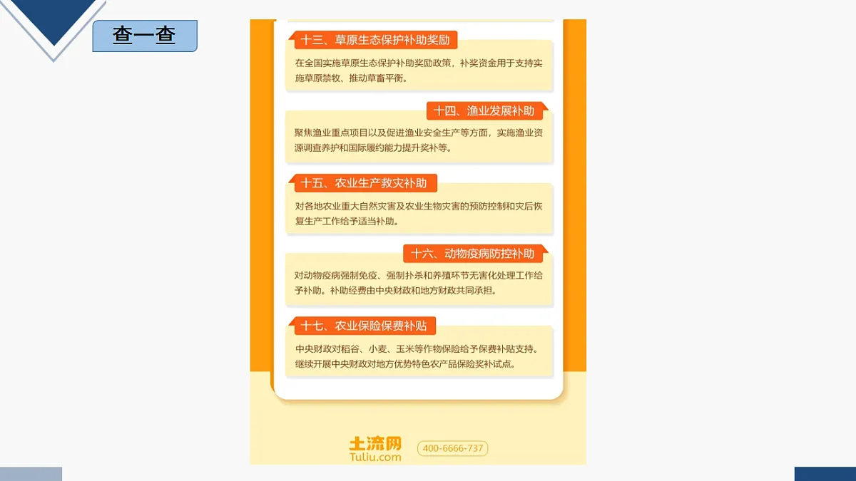 17251789第5页
