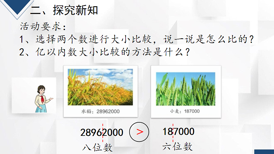 17251903第4页