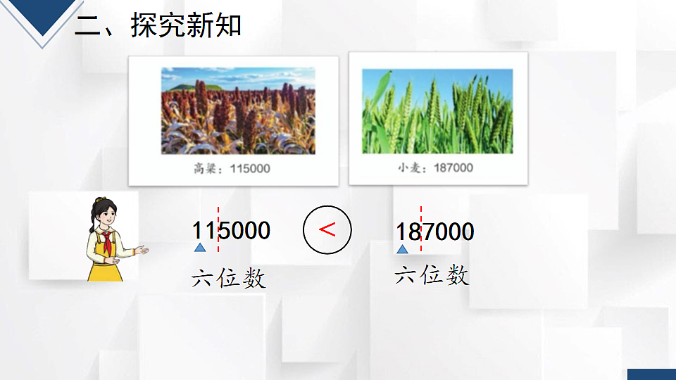 17251903第5页