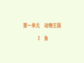 青島版（六三制）小學(xué)科學(xué)三年級(jí)上冊(cè) 2 魚（課件）