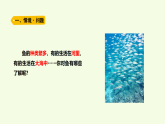 青島版（六三制）小學(xué)科學(xué)三年級(jí)上冊(cè) 2 魚（課件）