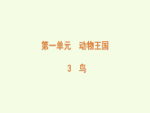 青島版（六三制）小學(xué)科學(xué)三年級(jí)上冊(cè) 3 鳥(niǎo)（課件）